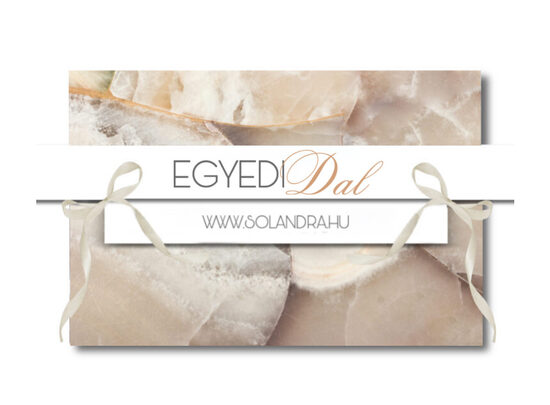 ZENE DALSZÖVEGGEL + VOKÁL