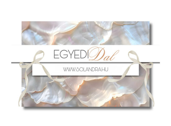 ZENE DALSZÖVEGGEL + VOKÁL + VIDEÓ